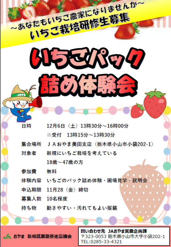 11月いちごパック詰め体験会