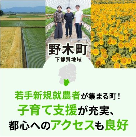 トチノ野木町市町特集