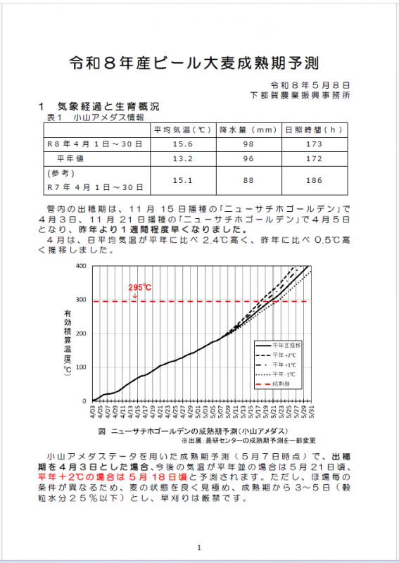 麦技術情報