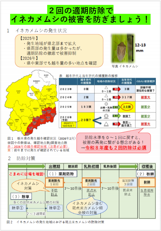 イネカメムシ対策