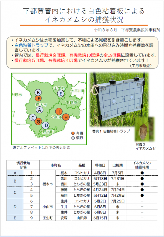 イネカメムシ資料