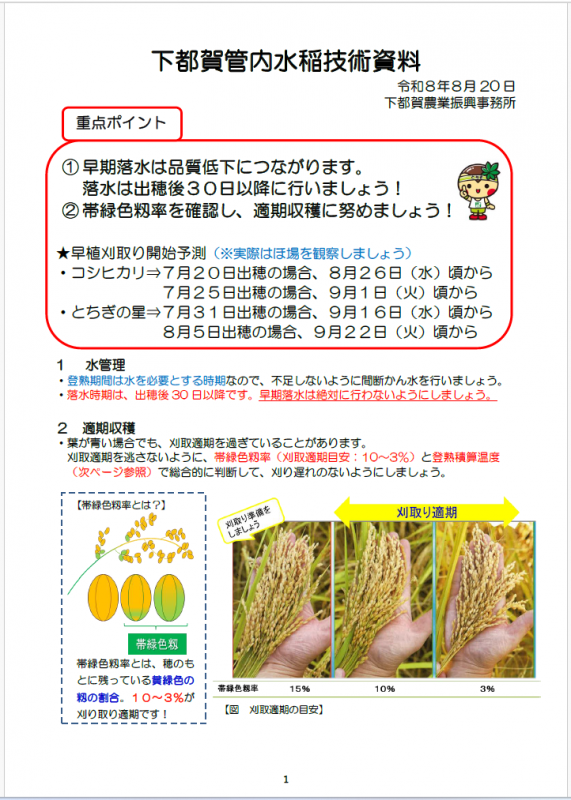 水稲資料