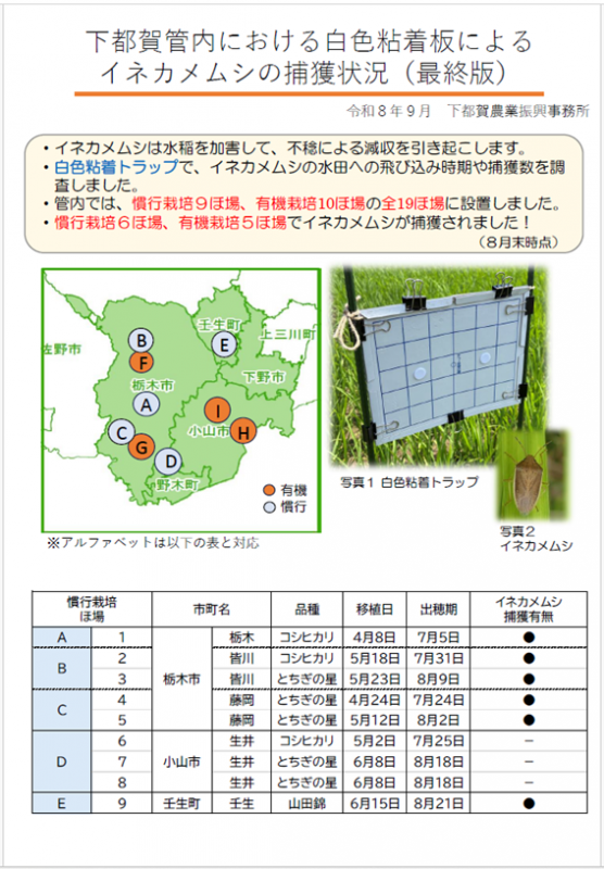 イネカメムシ資料