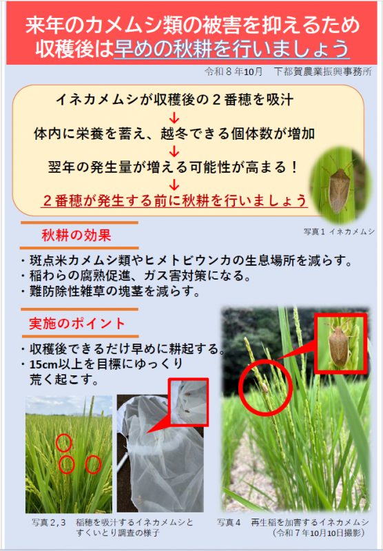 秋耕資料