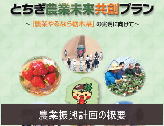 農業振興計画の概要