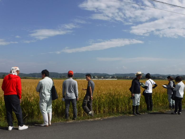 現地検討会の写真