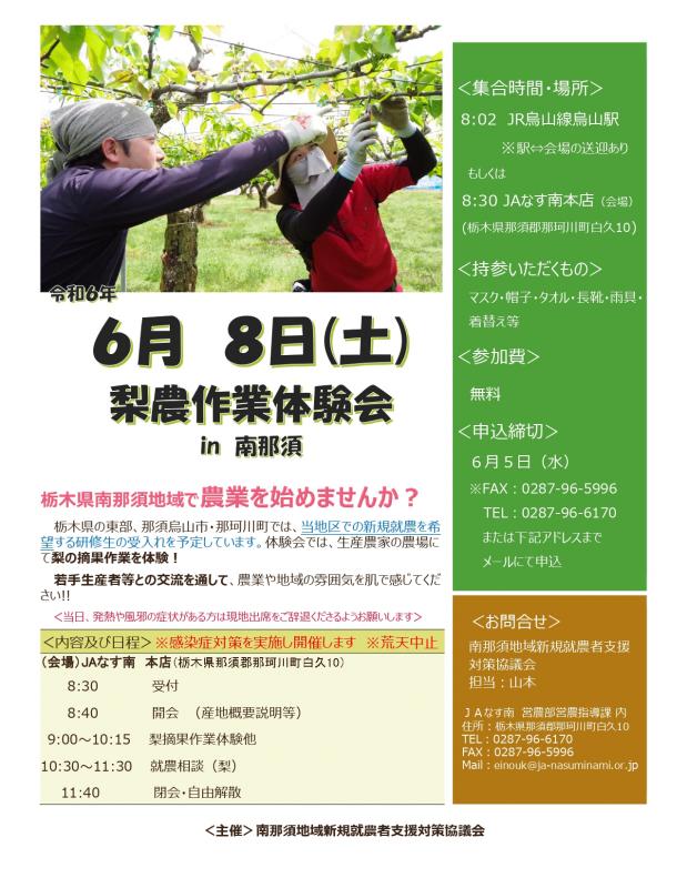 梨農作業体験