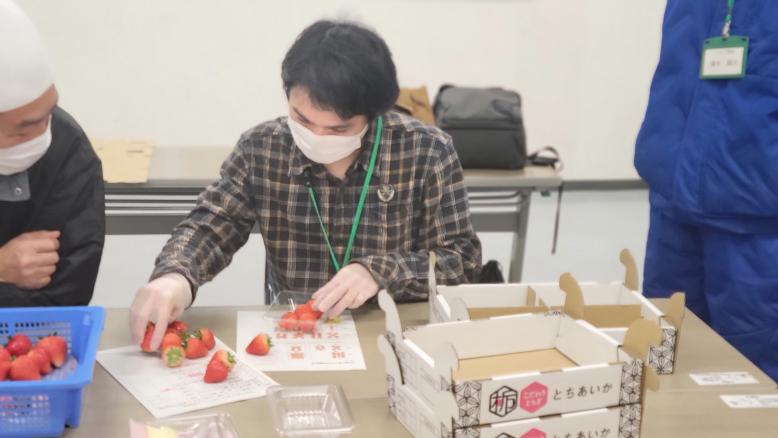 いちごパック詰め体験