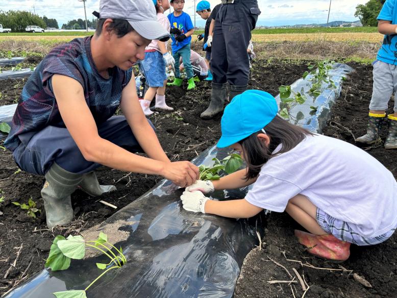 クラブ員に教えてもらいながら苗を定植する園児たち
