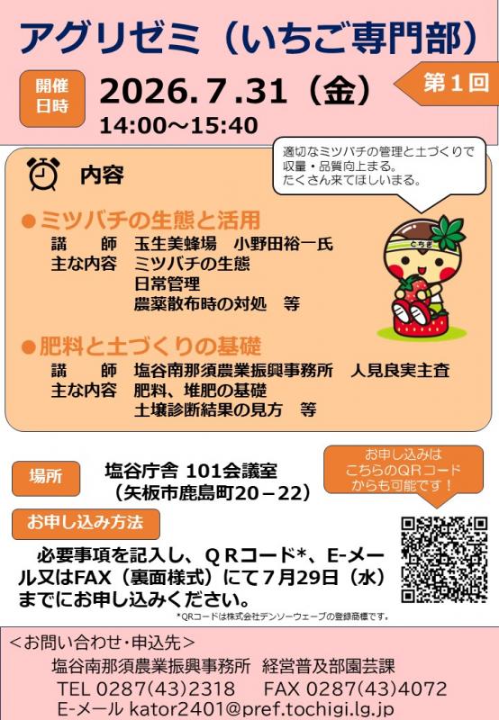 チラシ