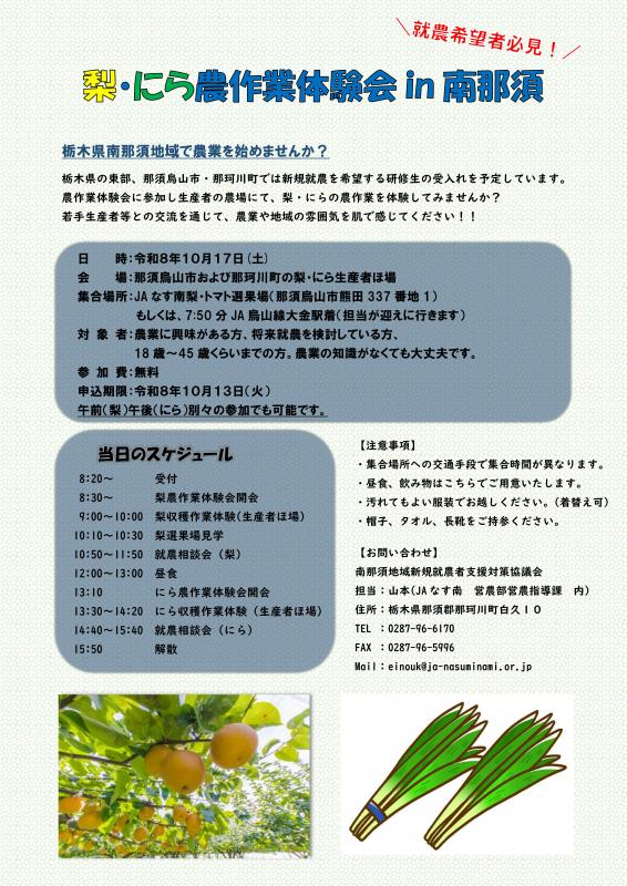 チラシ
