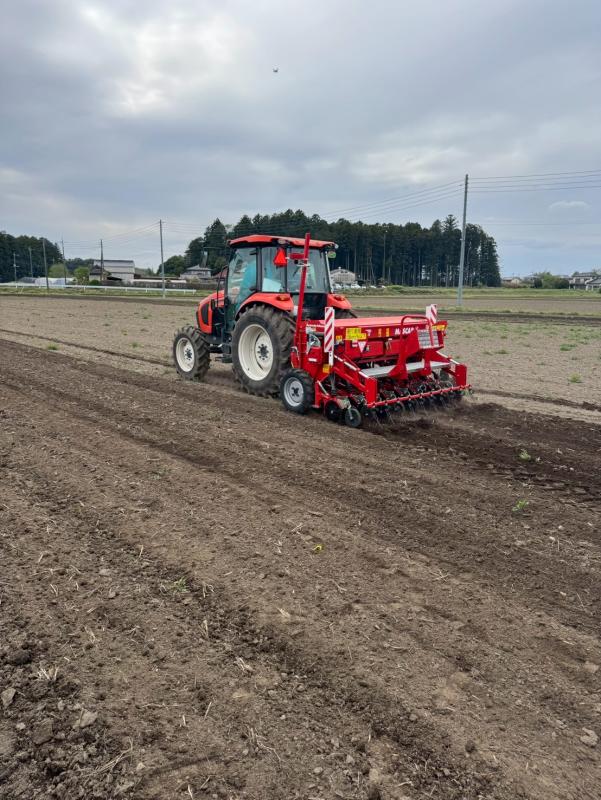 乾田直播の播種作業