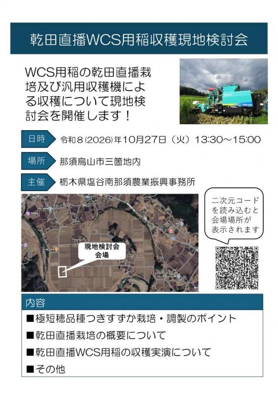 チラシ表面