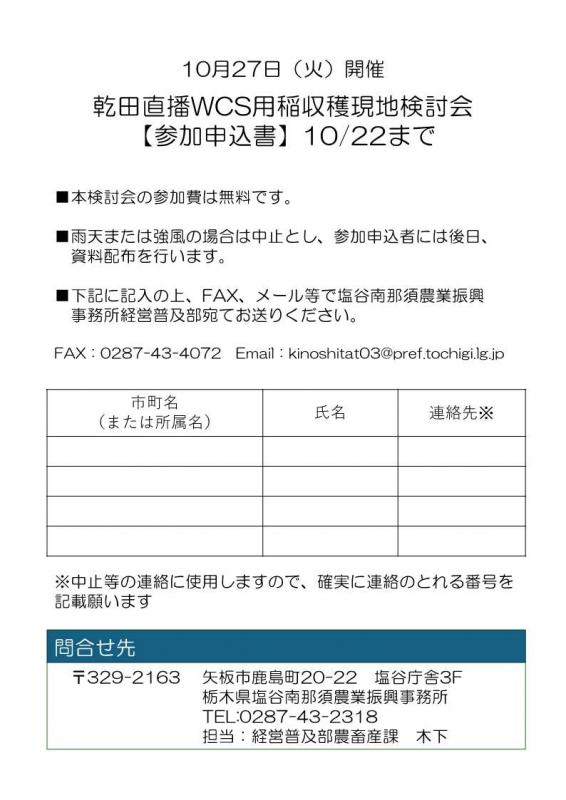 チラシ裏面