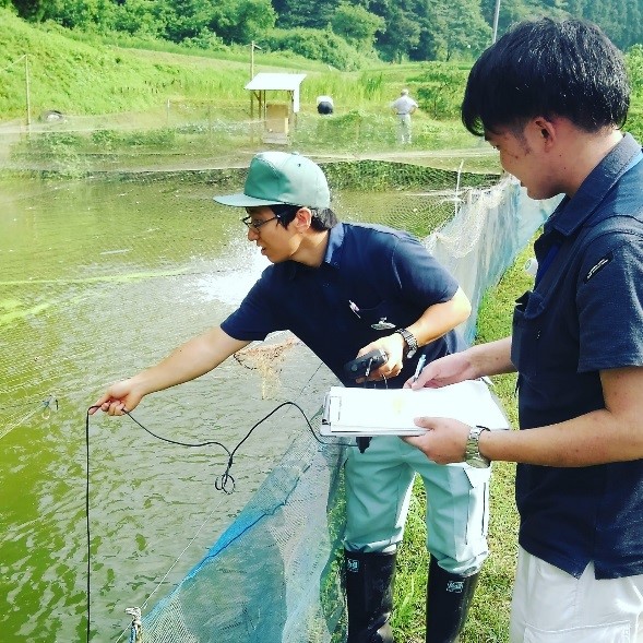 現地検討会の様子