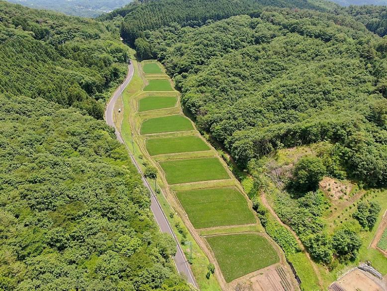 小砂地区の棚田