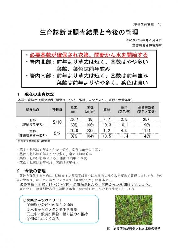 資料1