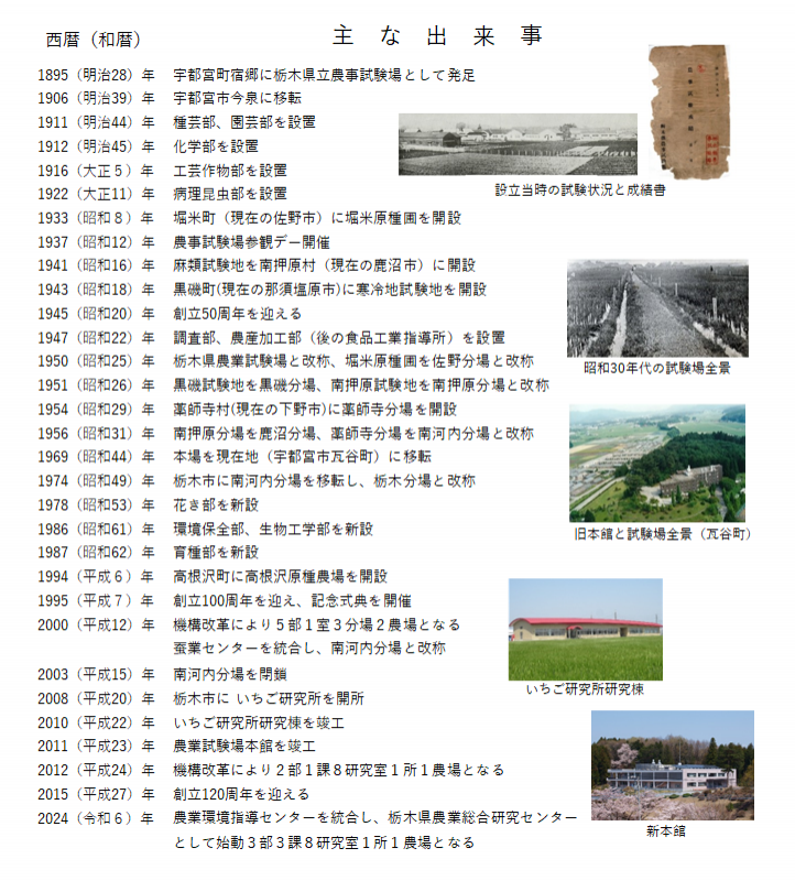 年表