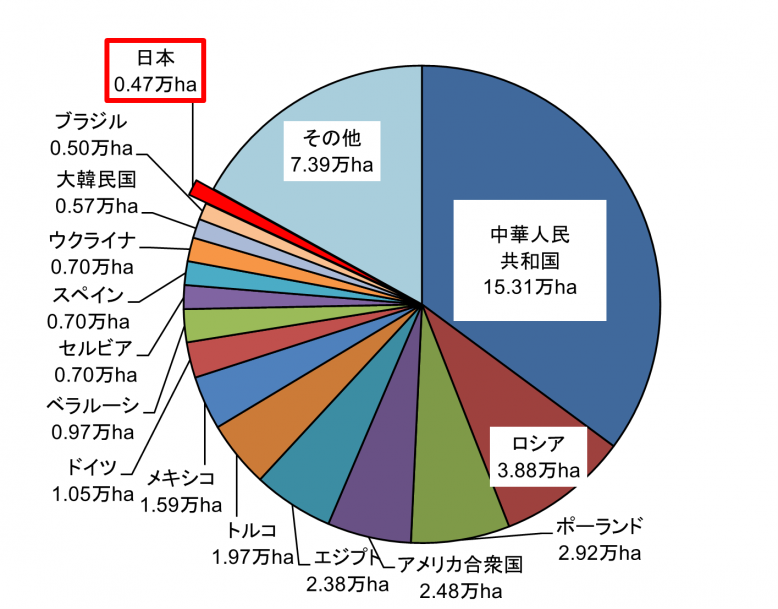 世界のいちご作付け面積