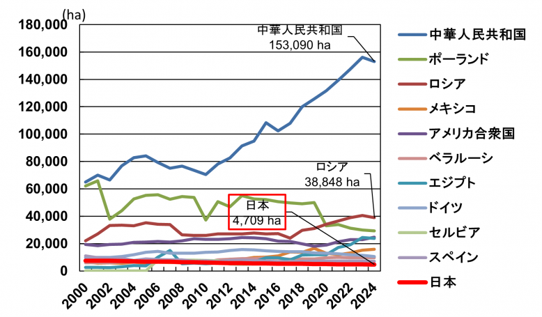 世界のいちご作付け面積推移