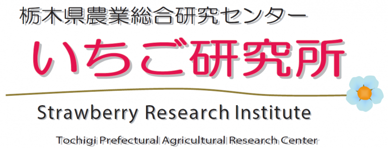 栃木県農業総合研究センターいちご研究所