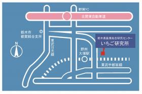 いちご研究所案合図