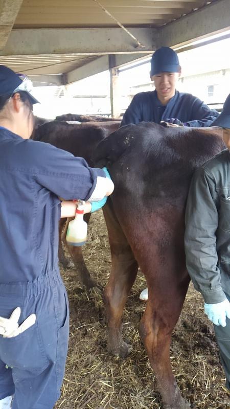 シダー挿入前の消毒