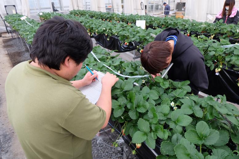 卒論の調査研究の様子