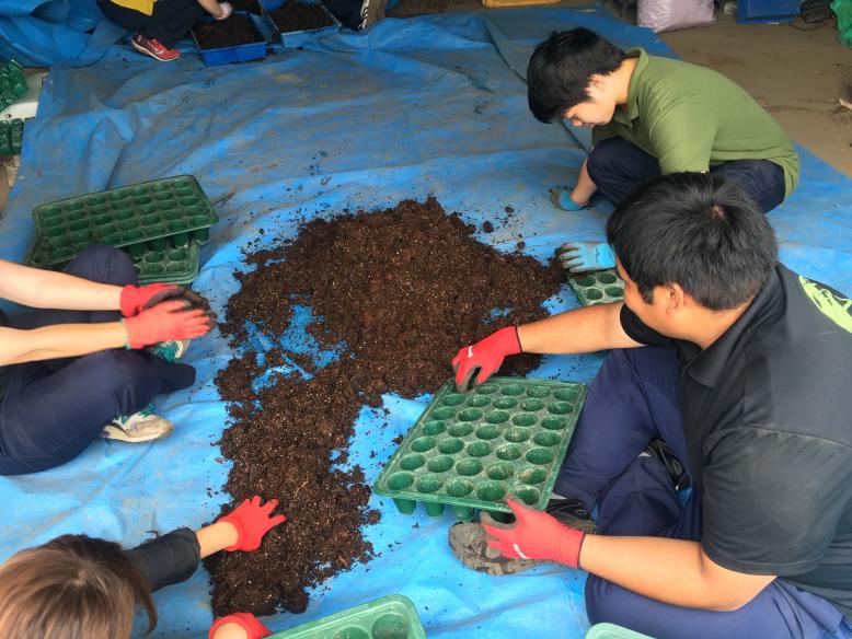 充実した苗を作るため適切な量の培土