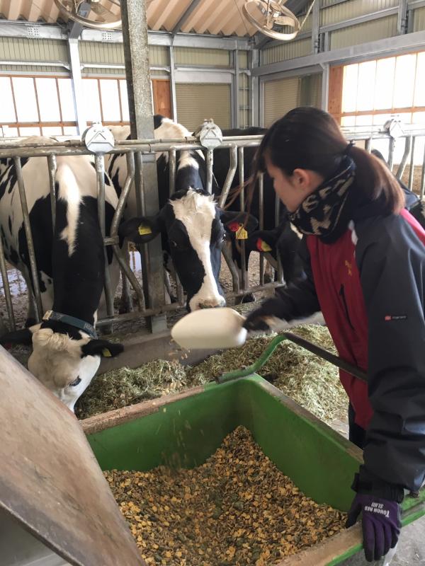 飼養管理作業