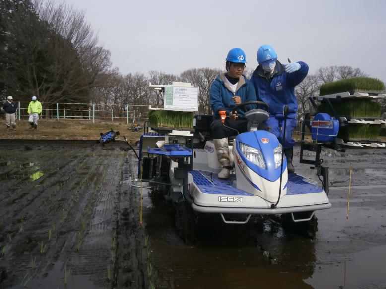 田植機の操作実習