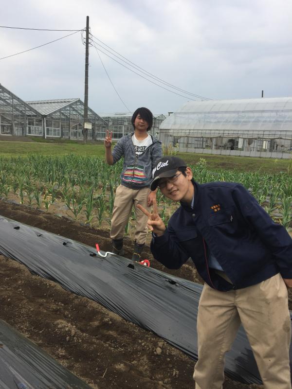 にんにく