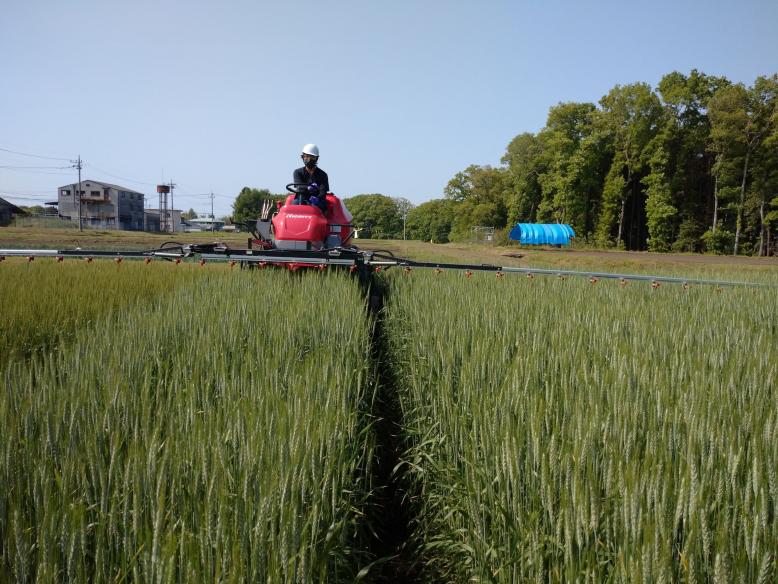 乗用管理機による赤かび防除