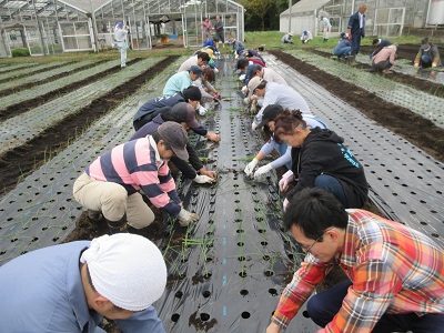 立冬号2-2