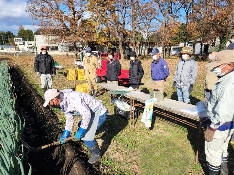 収穫方法を学びます