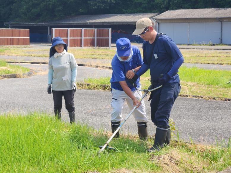 刈払機による草刈りを練習します