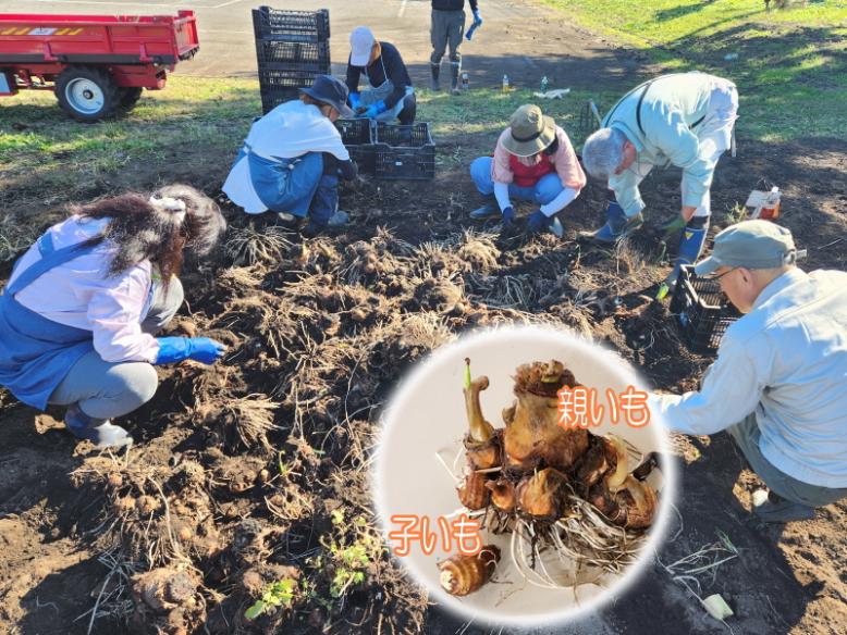 一か所に集めて分解•選別します