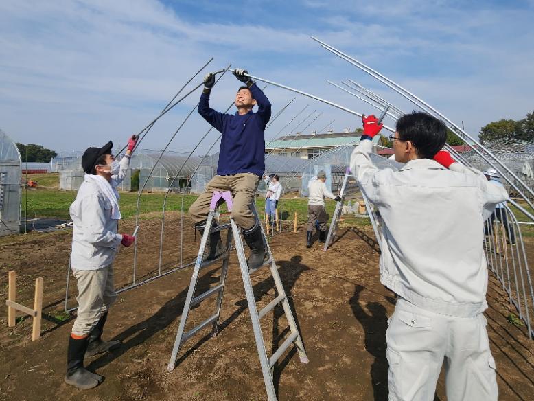 左右の柱を天井でつなぎます