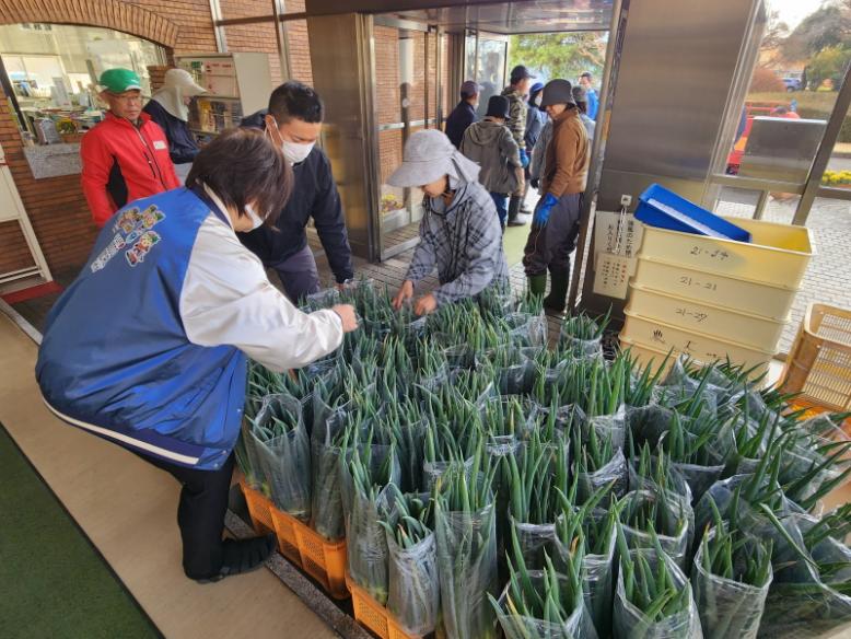 土付きネギを出荷しました