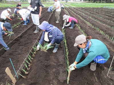 小満号4-4