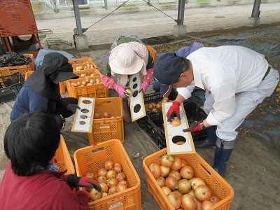 夏至号1-5