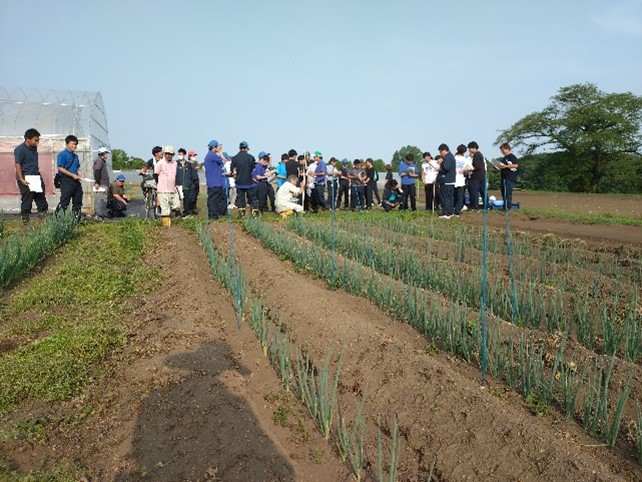 初夏ねぎ