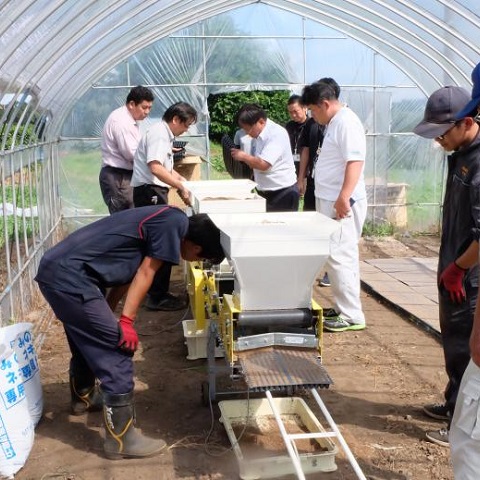露地野菜専攻の写真