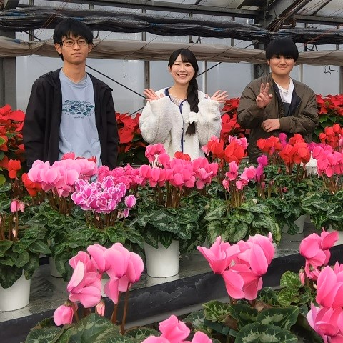 花卉専攻の写真