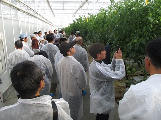 ハウス内の説明