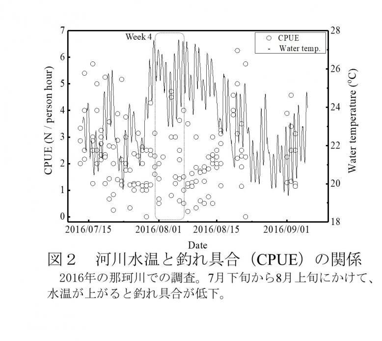 河川水温と釣れ具合の関係