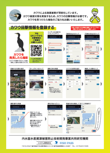 sinkawauapuri2