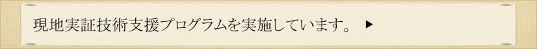 現地実証技術支援プログラム