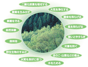 「森林の公益的機能」のイメージ