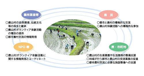 期待される主な主体の役割イメージ
